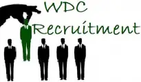 Outbound Sales Consultant